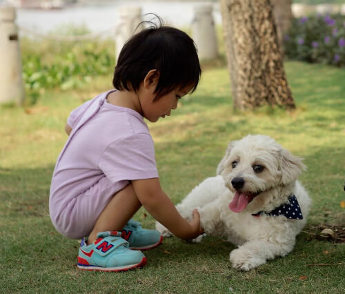 Làm thế nào để nhà tôi thành nơi an toàn với con tự kỷ?